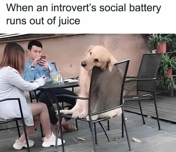 introvertmemes9_011