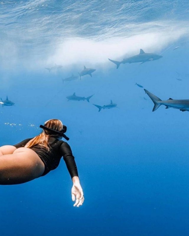 kaylasimmonsvolleyball_012