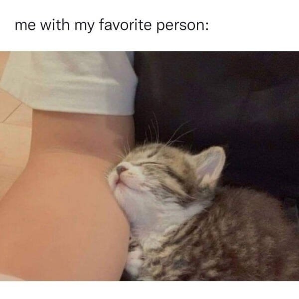 lifememes2_002