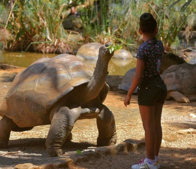longlivinganimals_014