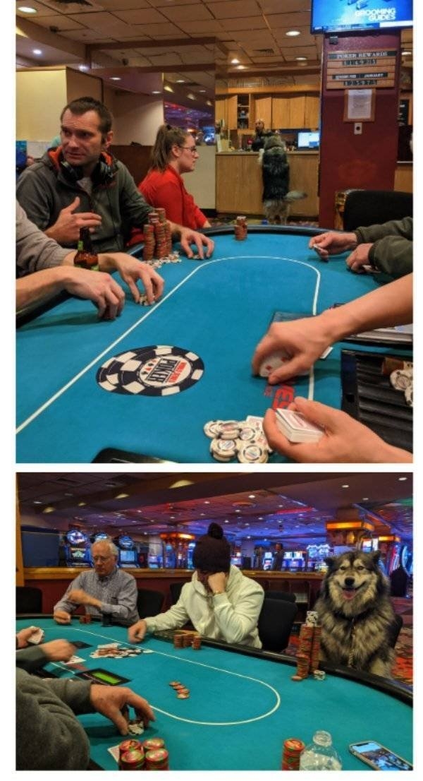 longlivinganimals2_008