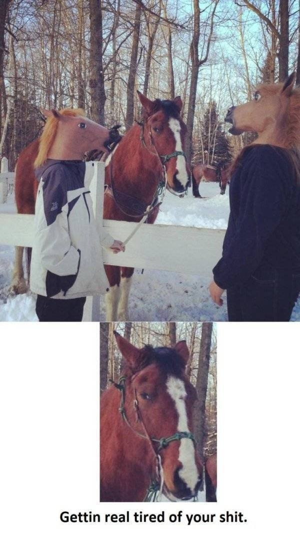 longlivinganimals2_010