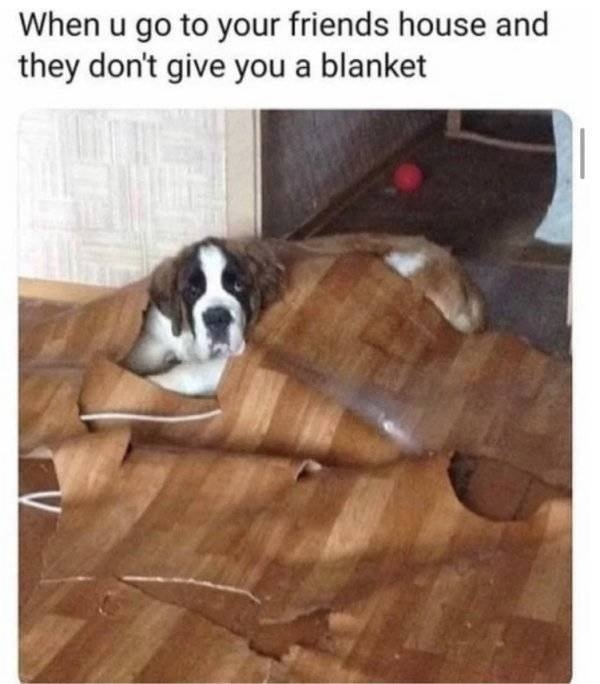 longlivinganimals2_011