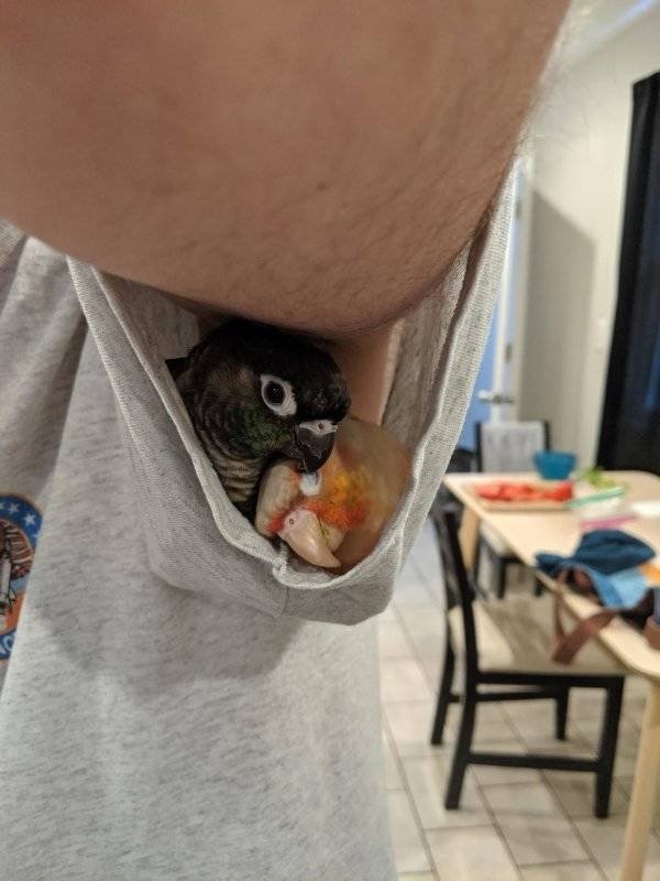 longlivinganimals2_015