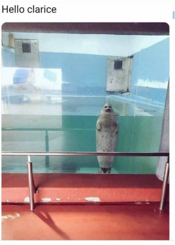 longlivinganimals2_017