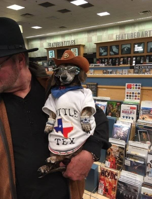 longlivinganimals2_018