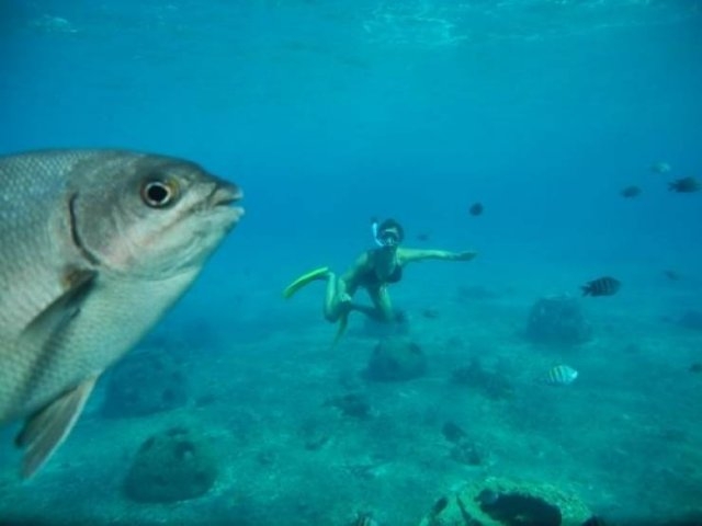 longlivinganimals2_020