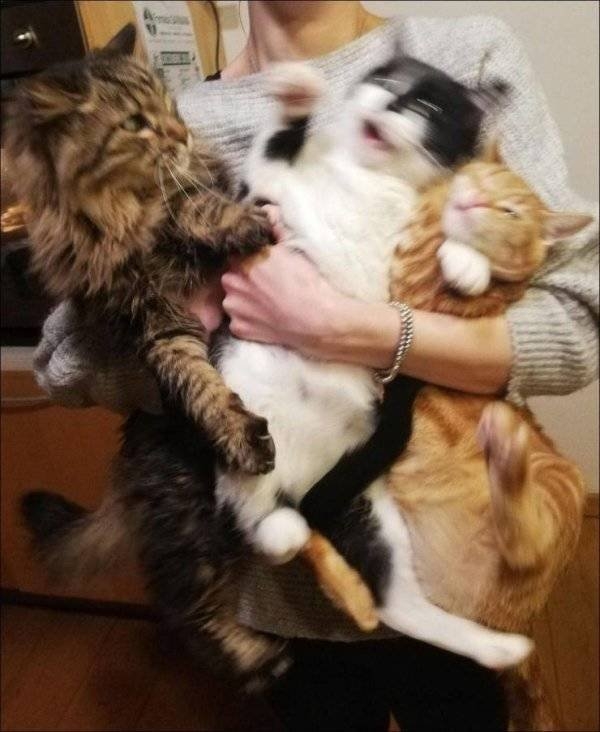 longlivinganimals2_023