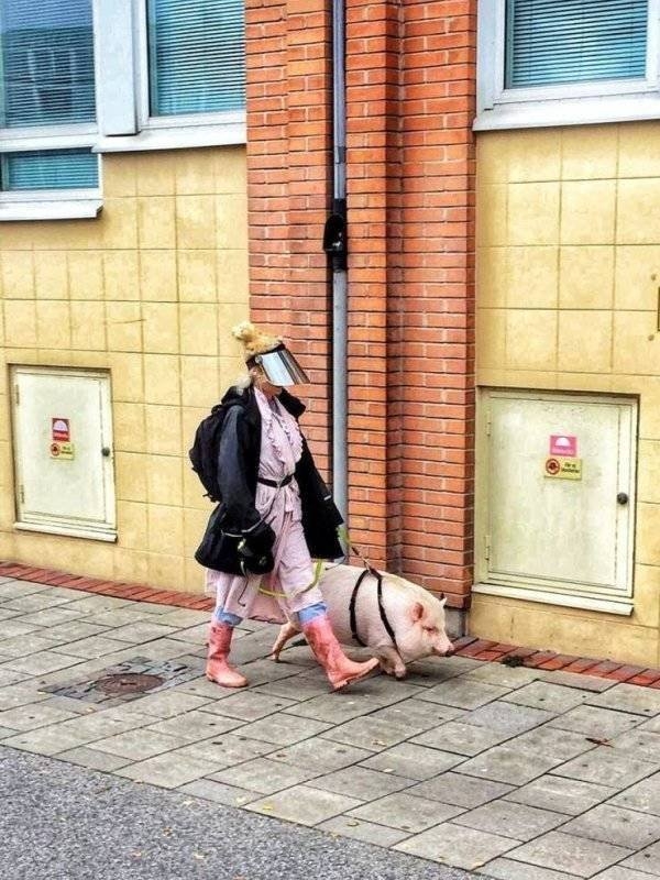 longlivinganimals2_025