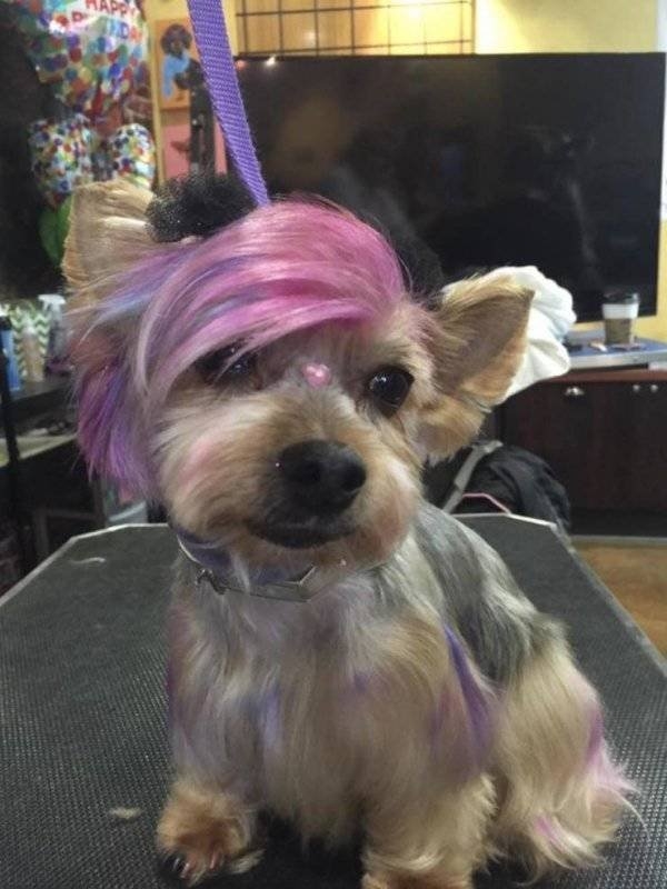 longlivinganimals2_031