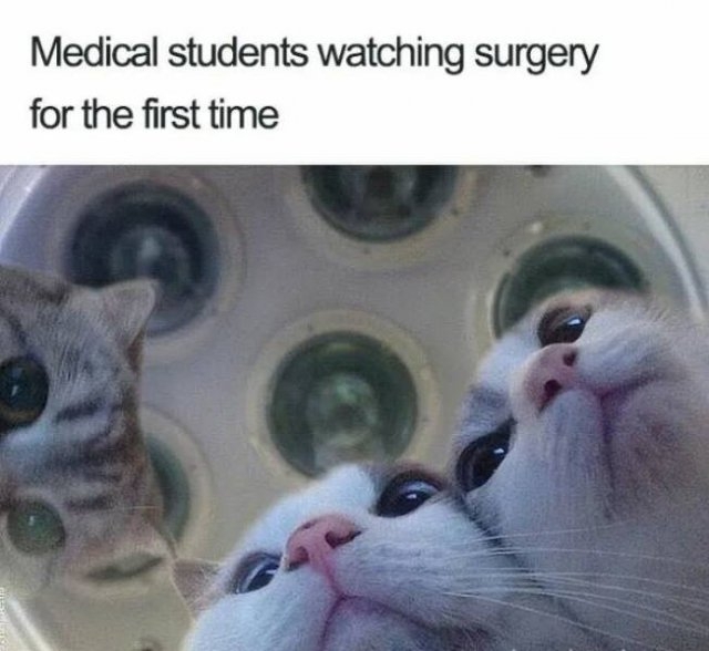 medicalmems_001