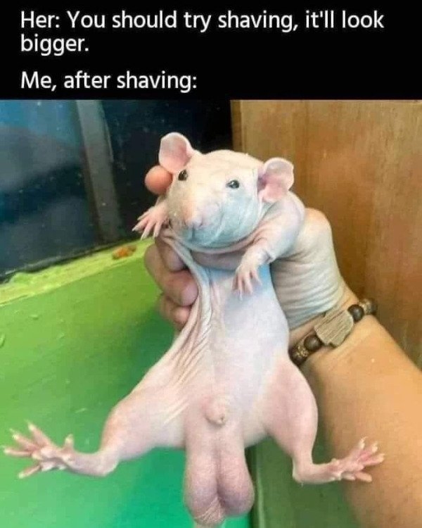 memesformen_006