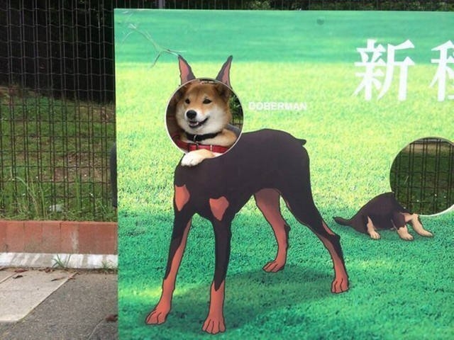 onlyinjapan_008