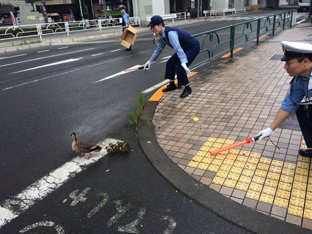 onlyinjapan_013
