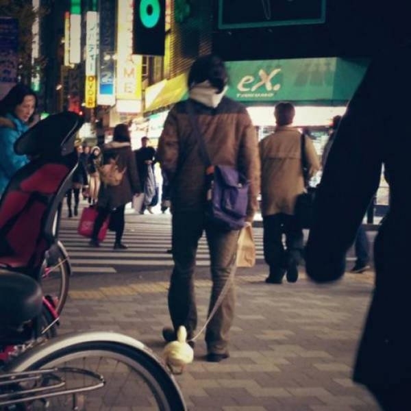 onlyinjapan_025