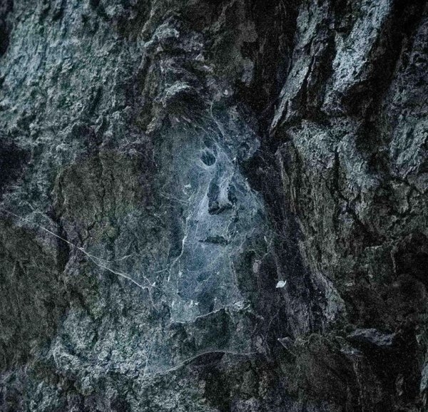 opticalillusions7_001