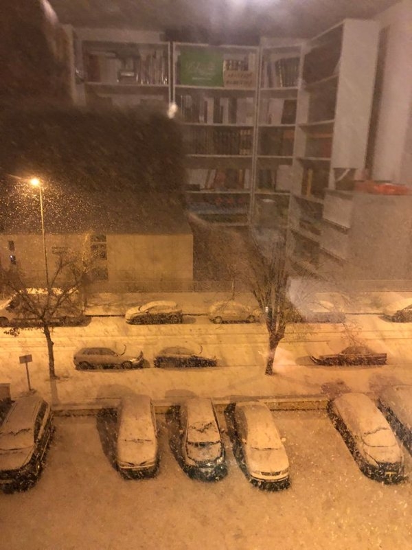 opticalillusions7_008