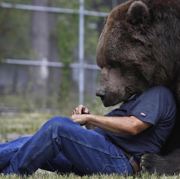 opticalillusions7_035