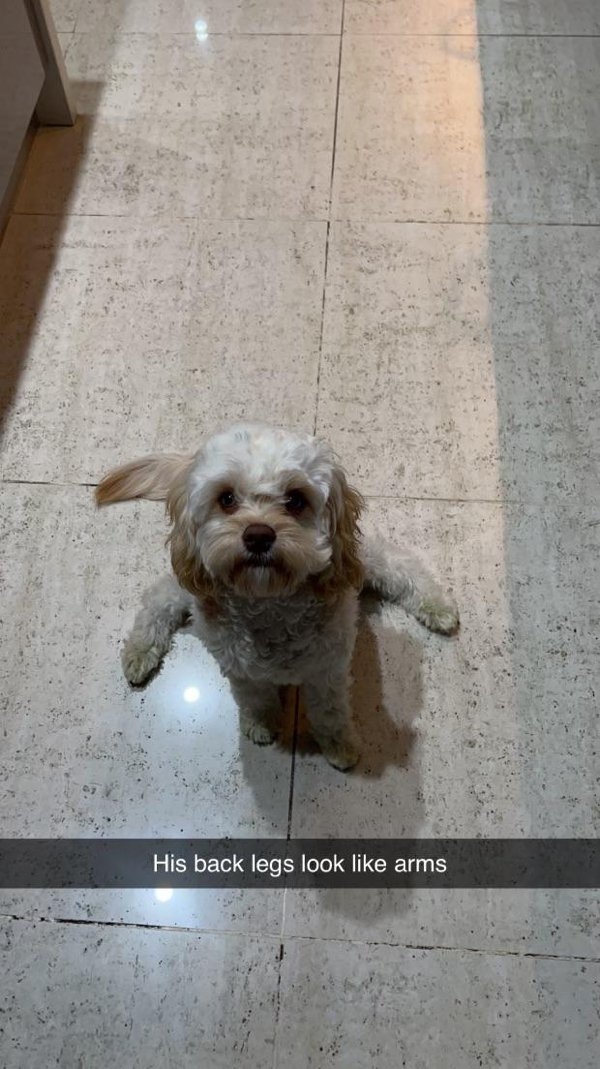 opticalillusions8_005