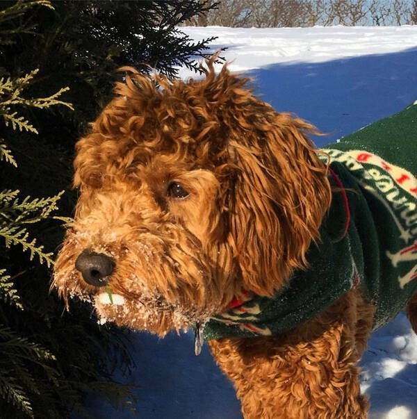 opticalillusions8_006