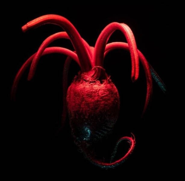 opticalillusions8_009