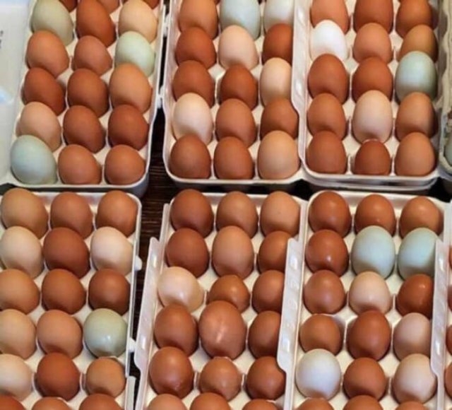 opticalillusions8_010