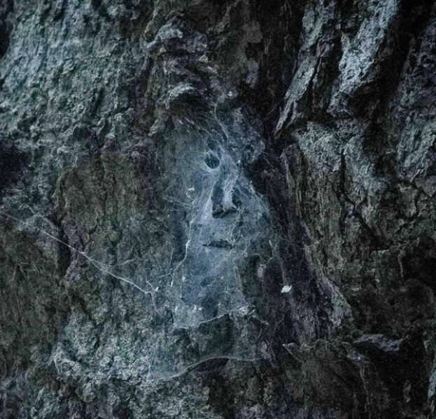 opticalillusions8_018