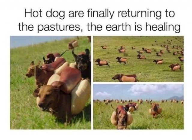 photoshopfails12_006