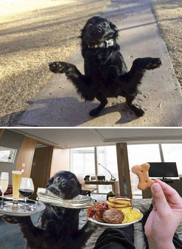 photoshopfails12_009