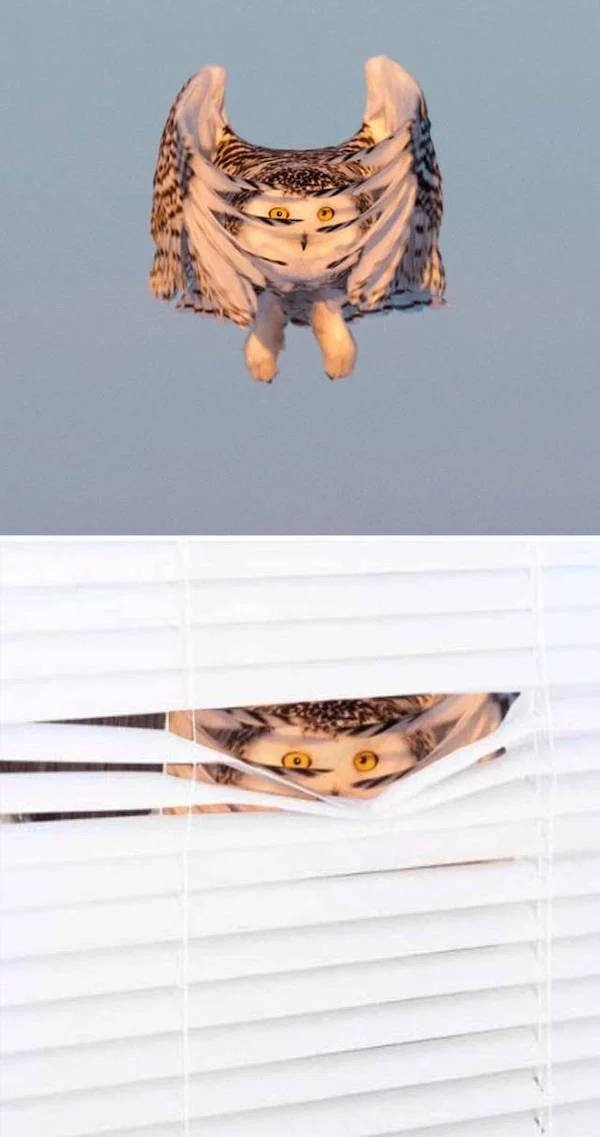 photoshopfails12_010