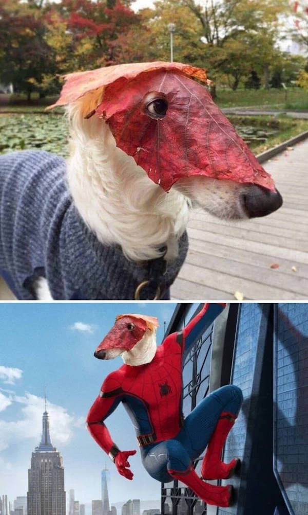 photoshopfails12_020