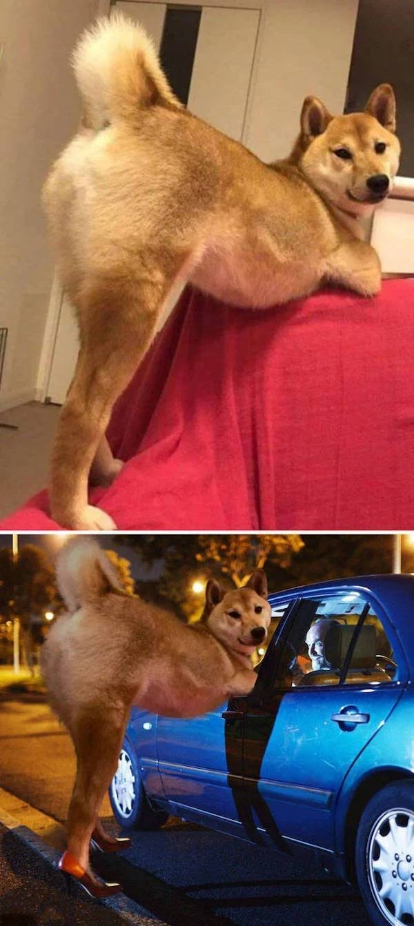 photoshopfails12_023