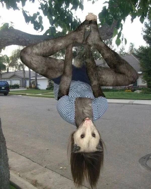 photoshopfails12_026