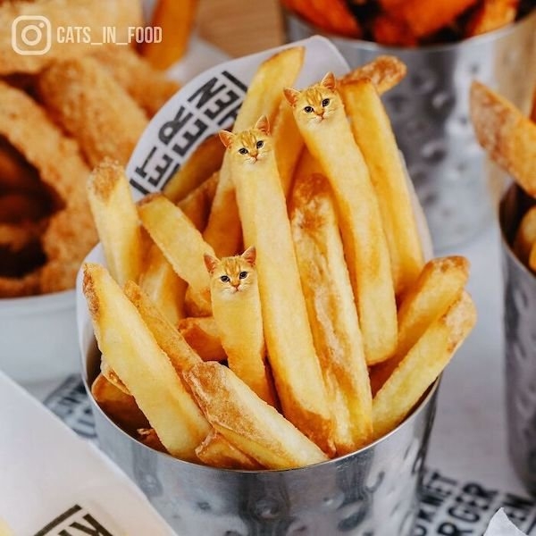 photoshopfails13_011