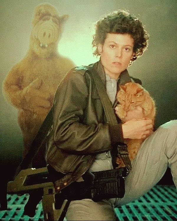 photoshopfails13_031