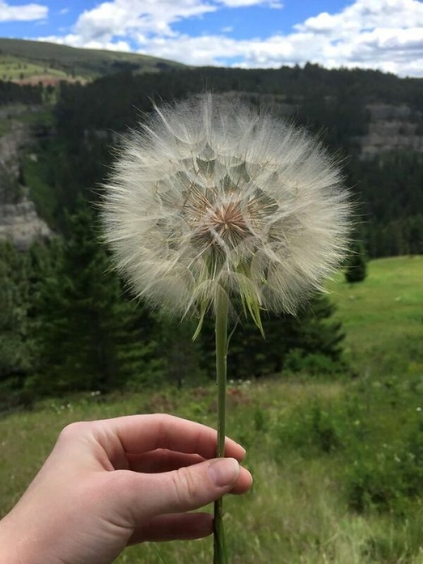 randompics899_065