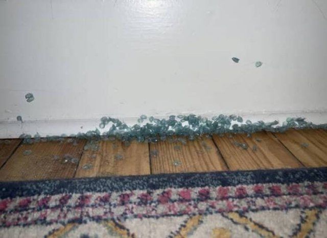 randompics902_055