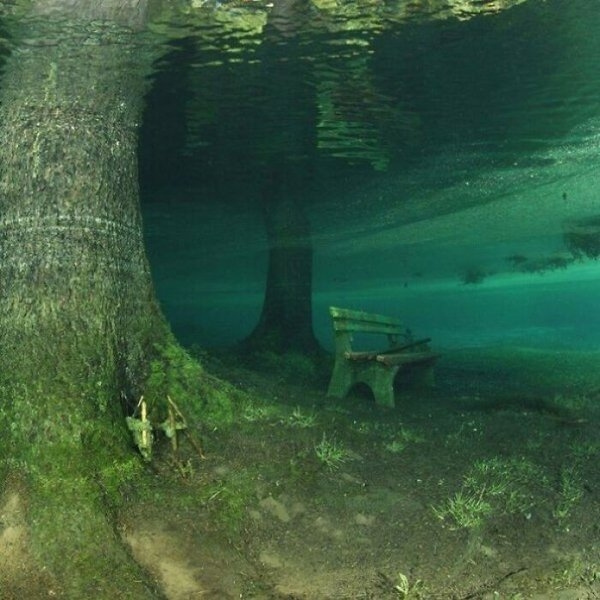 randompics905_068