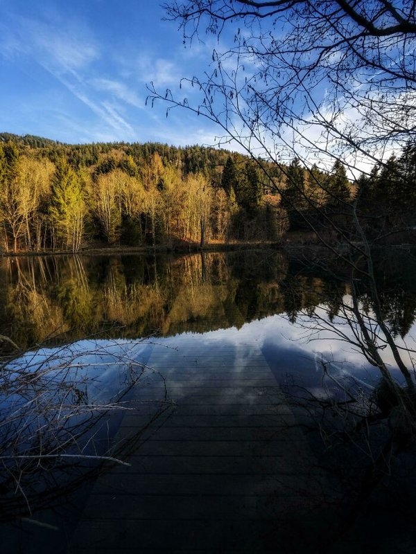 randompics905_073