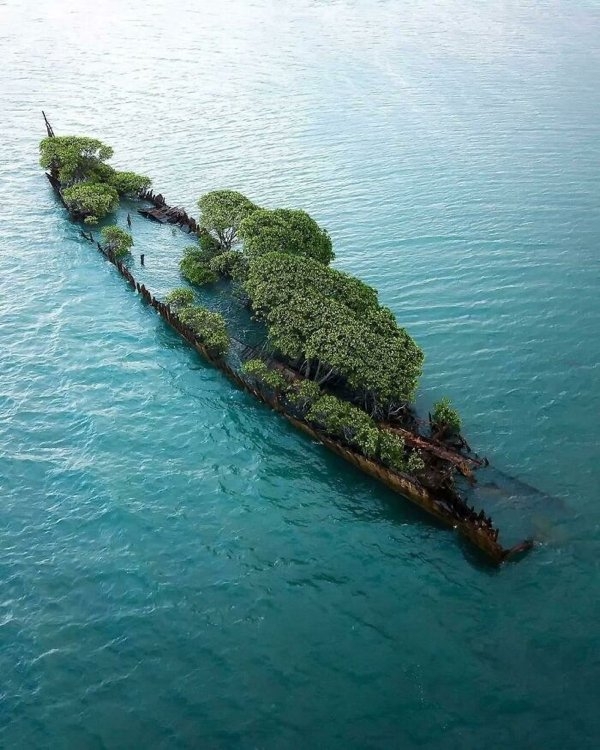 randompics906_004