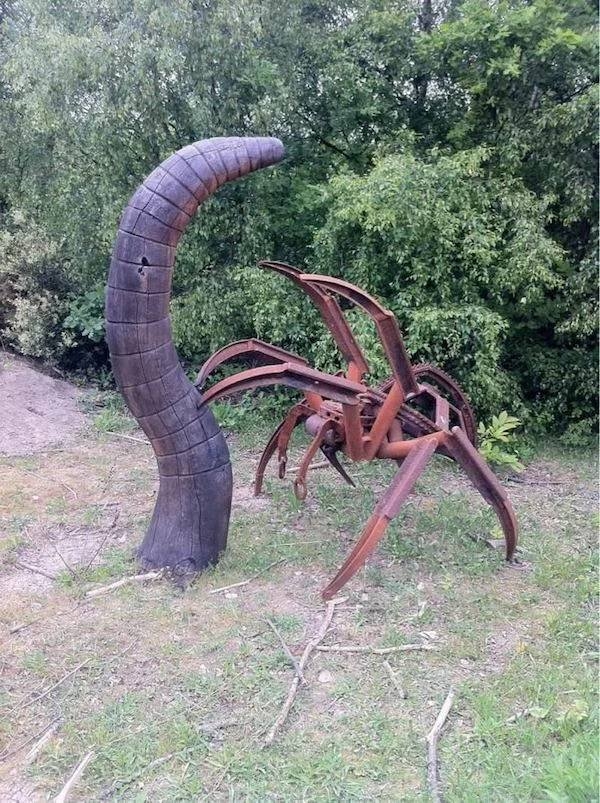 randompics906_037