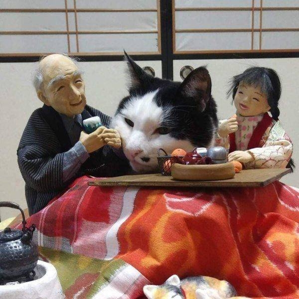 randompics908_070