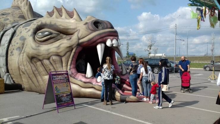 randompics910_079