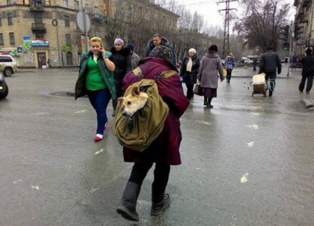 randompics921_009