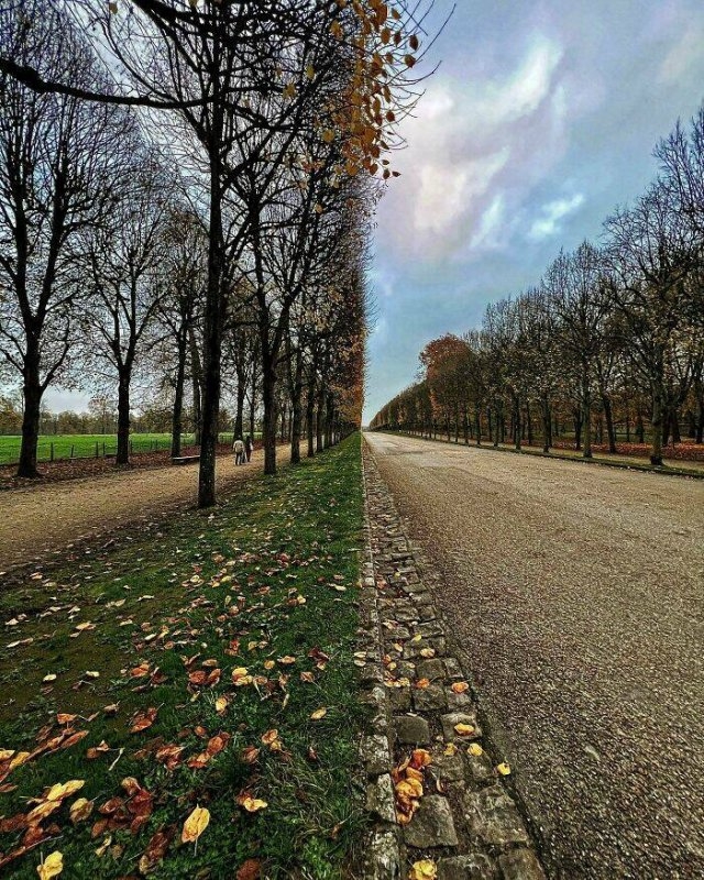 randompics924_051