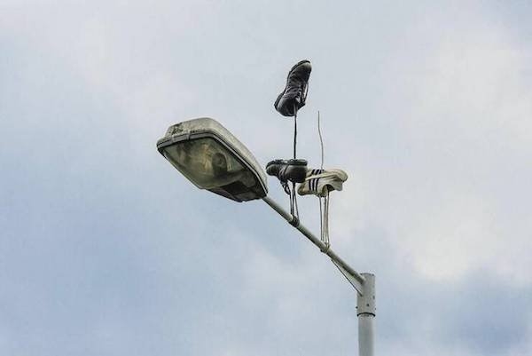 randompics926_072