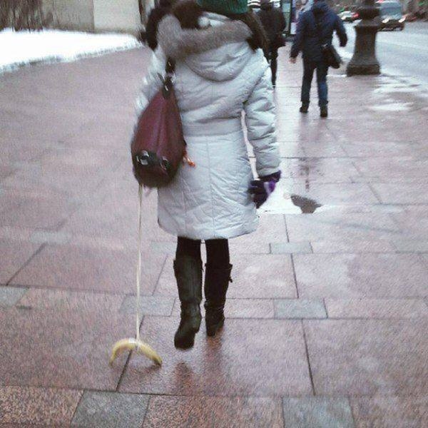 randompics953_064