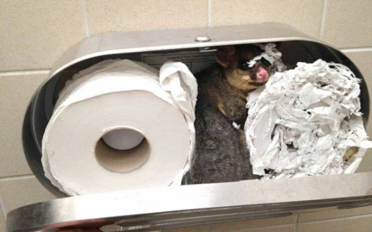 randompics955_054
