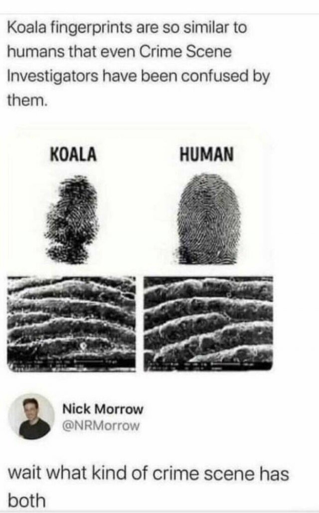 sciencememes6_023