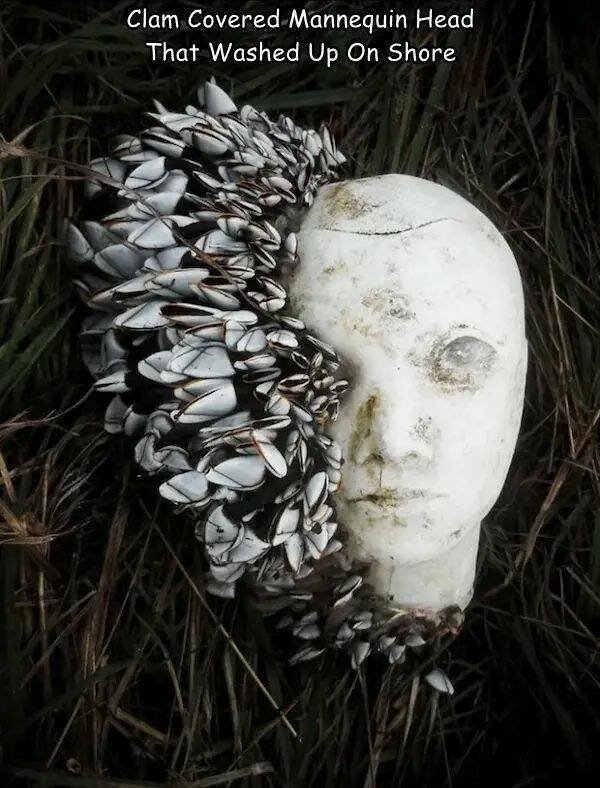 strangemannequins3_011